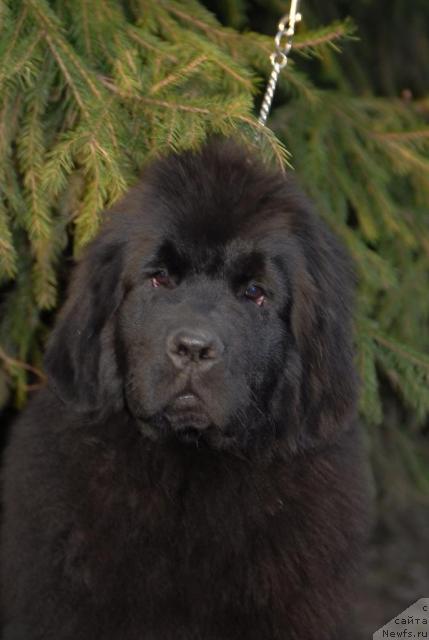 Фотография № 40655