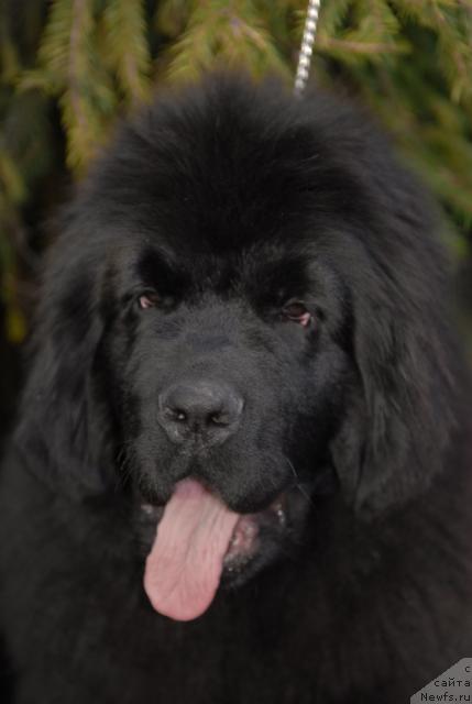 Фотография № 40658