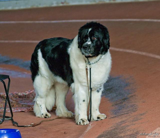 Фотография № 40669