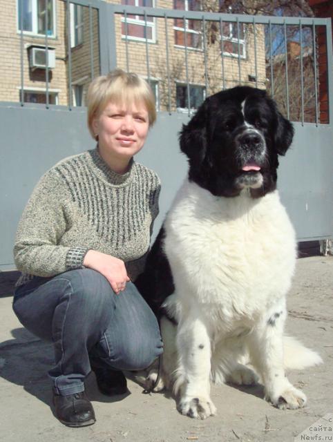 Фотография № 40676