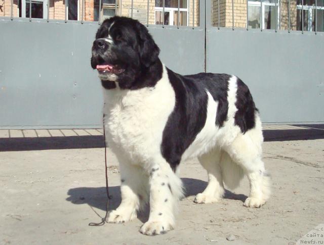 Фотография № 40678