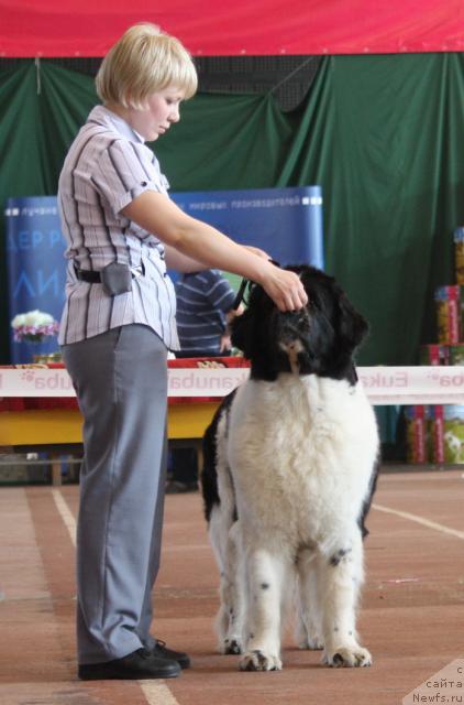 Фотография № 40727