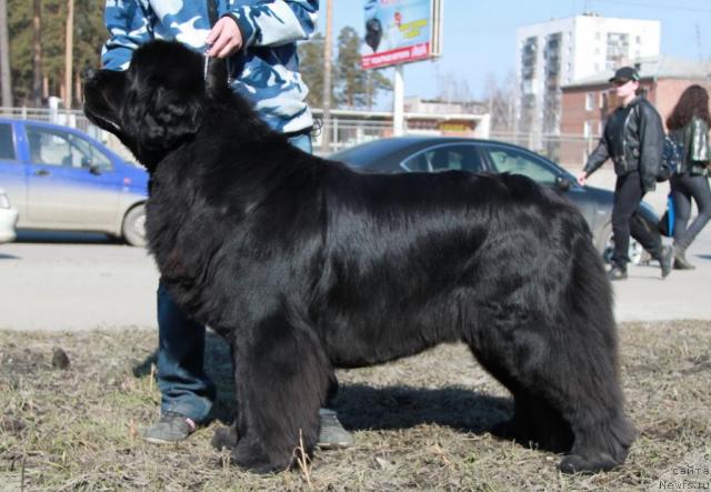 Фотография № 40740