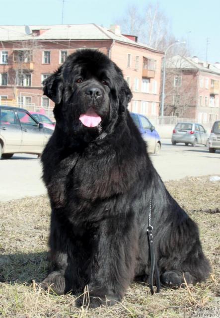 Фотография № 40741