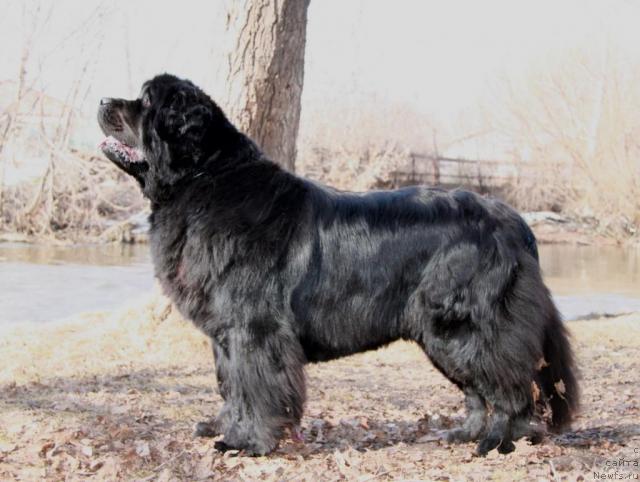 Фотография № 40750