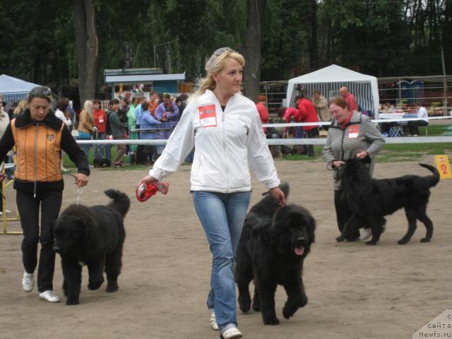 Фото: YEl'vira Nazarova (Эльвира Назарова)