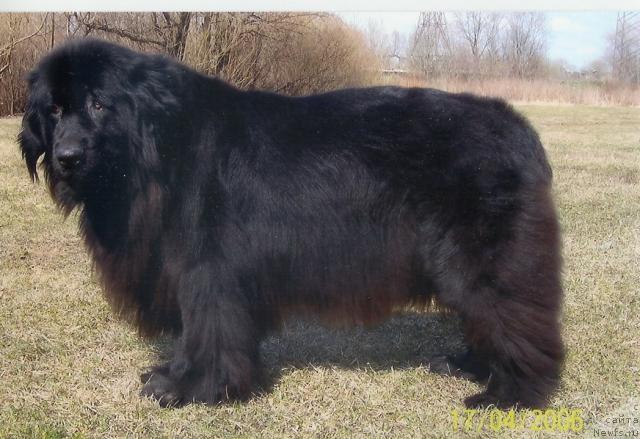 Фотография № 40812