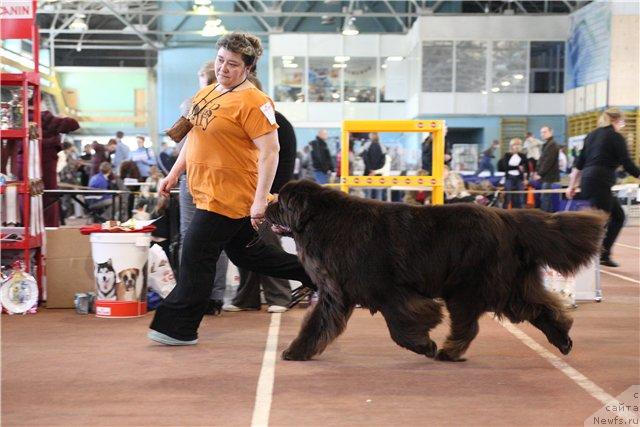 Фотография № 40845