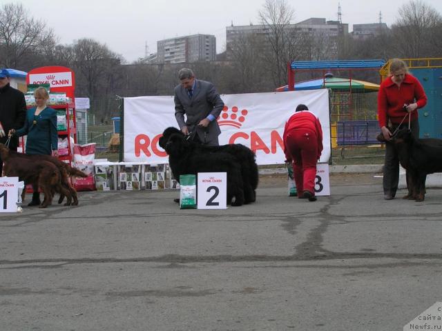 Фотография № 40851