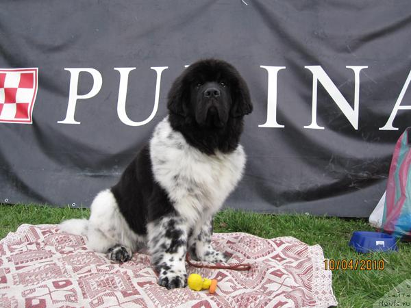 Фотография № 40888