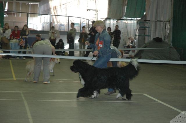 Фотография № 40948