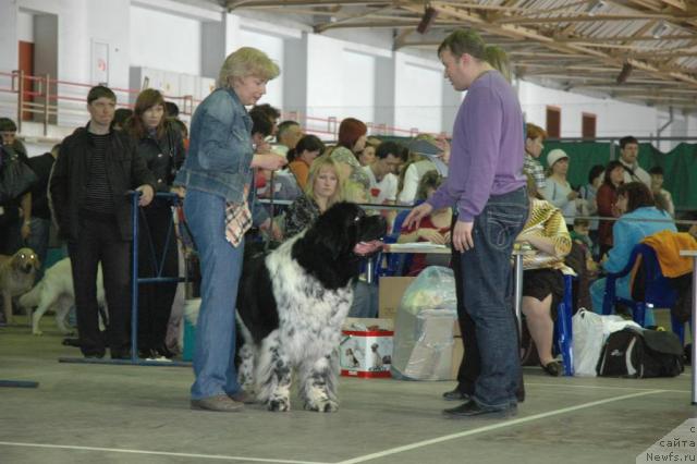 Фотография № 40950