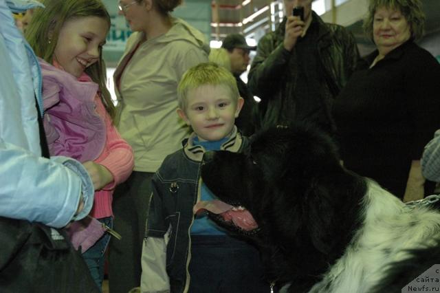 Фотография № 40952