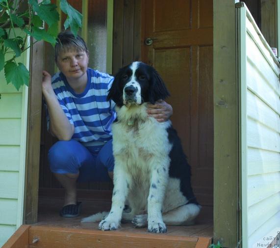 Фото: Galina Kostyuhova (Галина Костюхова), ньюфаундленд H'yugo Boss iz Unikal'noy Kollekcii (Хьюго Босс из Уникальной Коллекции)