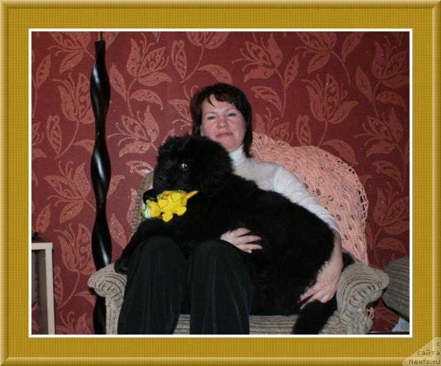 Фотография № 40966