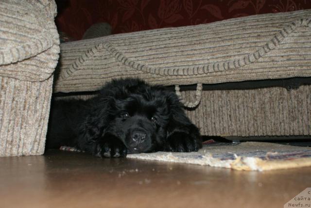 Фотография № 40968