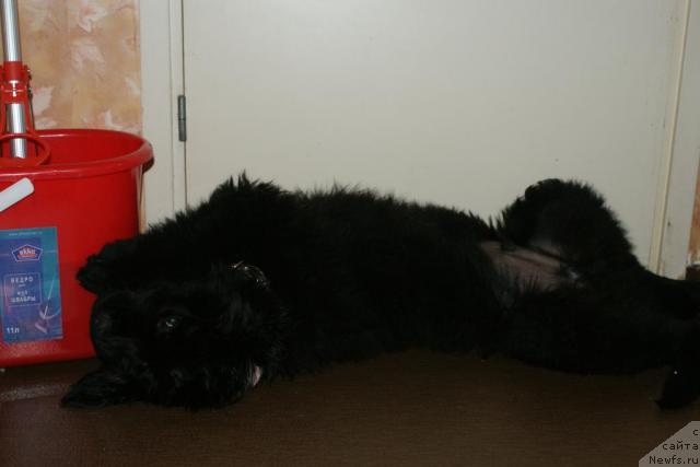 Фотография № 40970