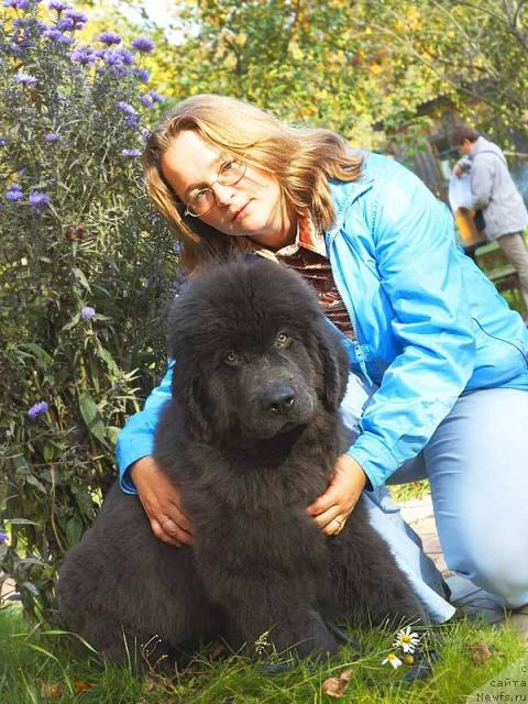 Фото: YUliya YAstrebova (Юлия Ястребова)