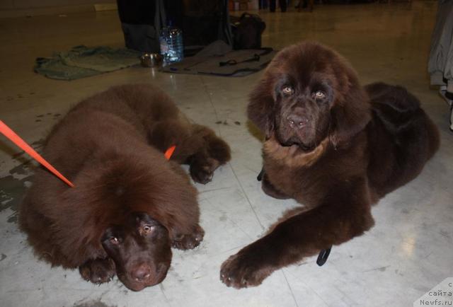 Фотография № 41024