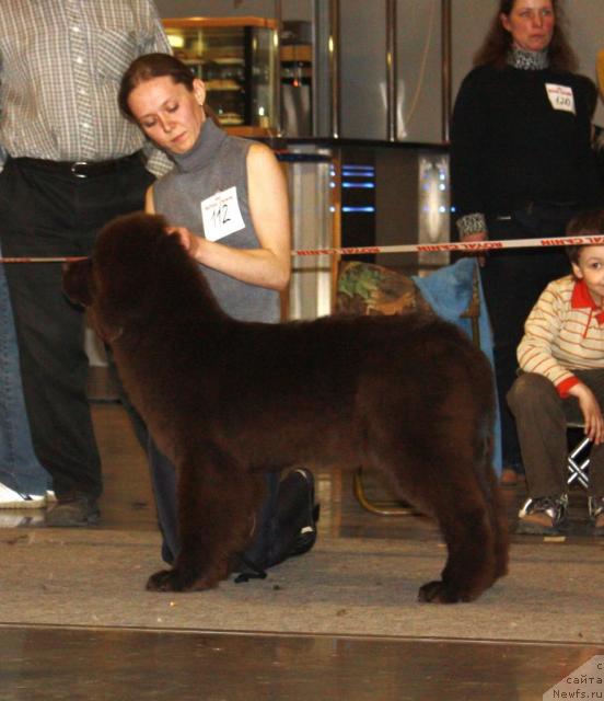 Фотография № 41025