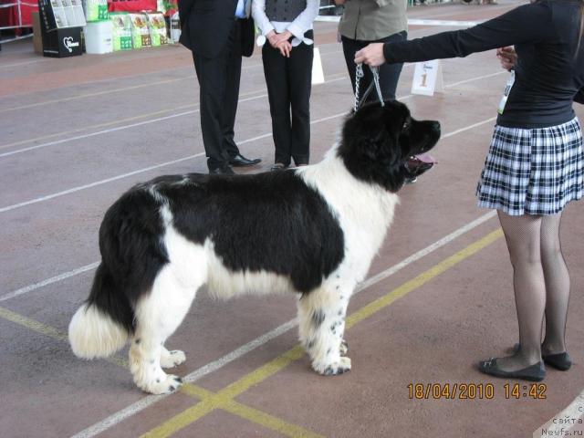 Фотография № 41026