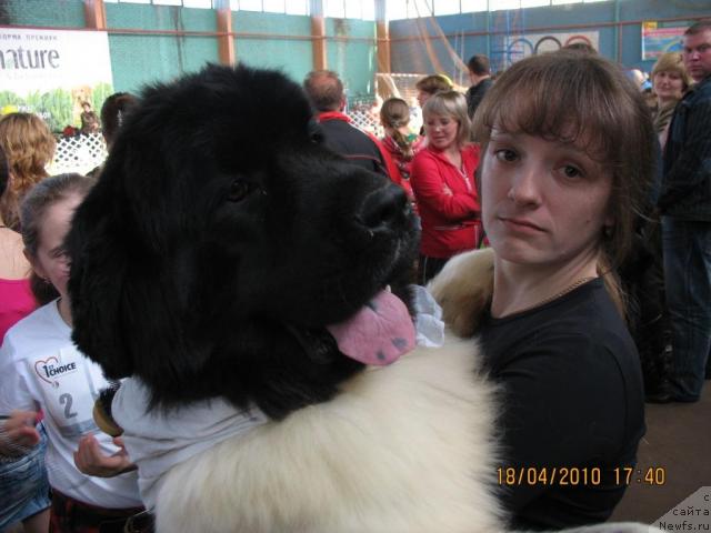 Фотография № 41027