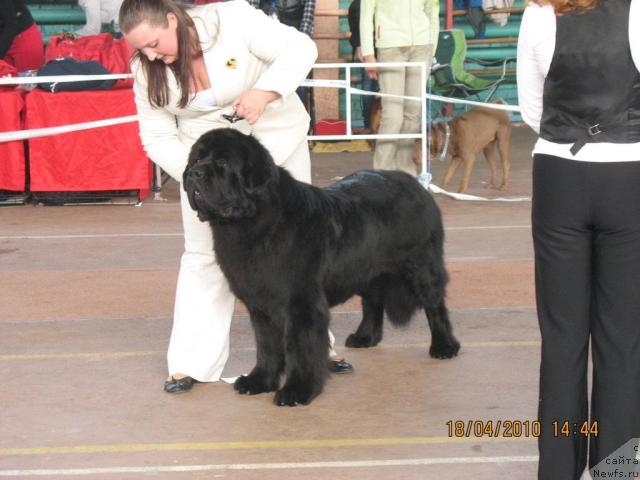 Фотография № 41028