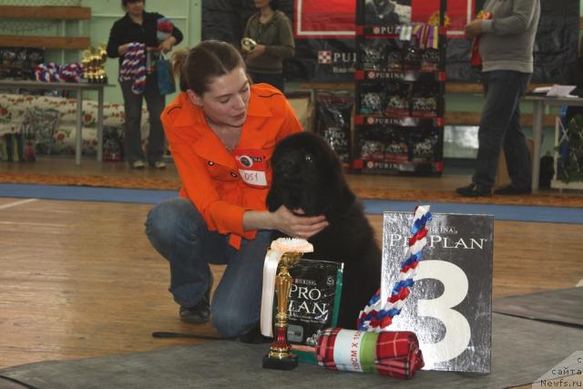 Фотография № 41065