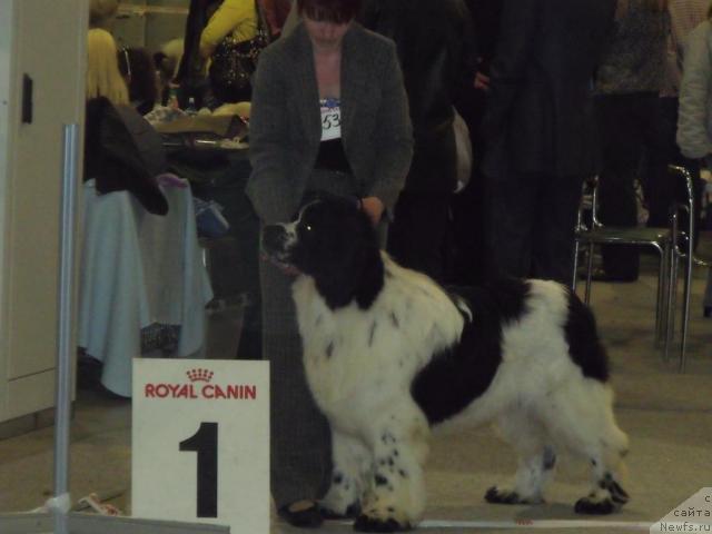 Фотография № 41068