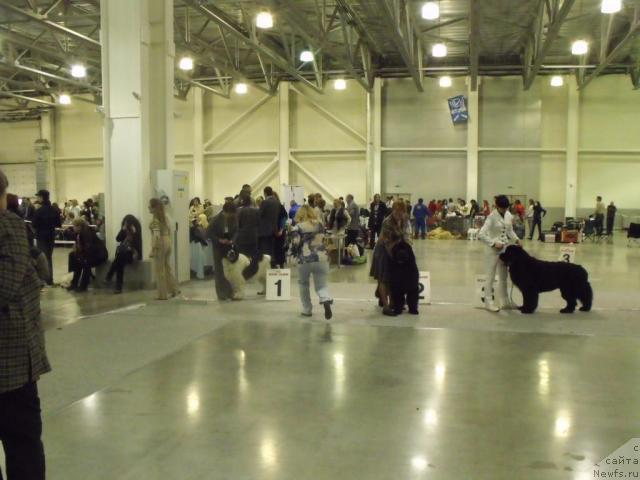 Фотография № 41071