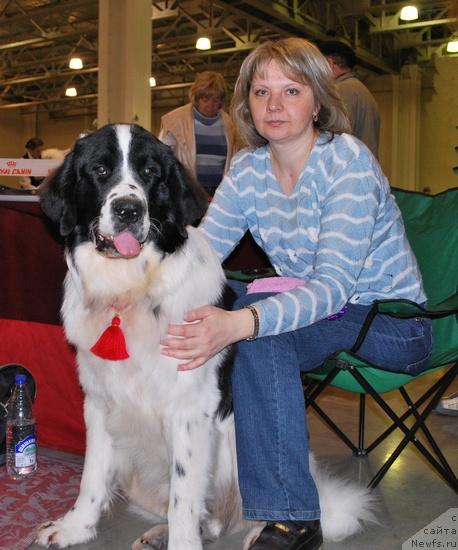 Фото: Galina Kostyuhova (Галина Костюхова), ньюфаундленд H'yugo Boss iz Unikal'noy Kollekcii (Хьюго Босс из Уникальной Коллекции)