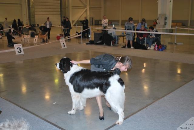 Фотография № 41075