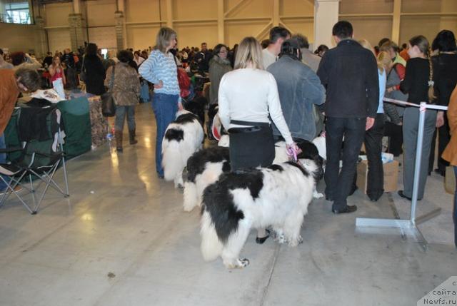 Фотография № 41076