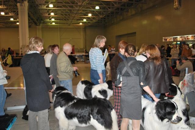 Фотография № 41077