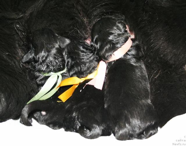 Фотография № 41084