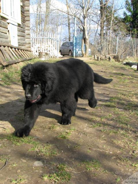 Фотография № 41089