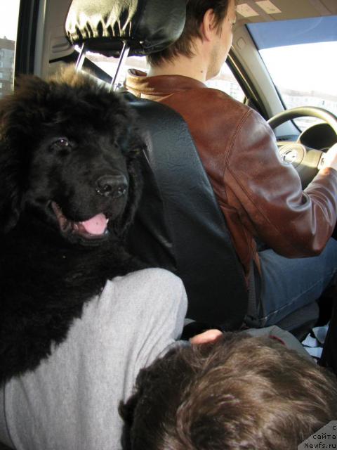 Фотография № 41090