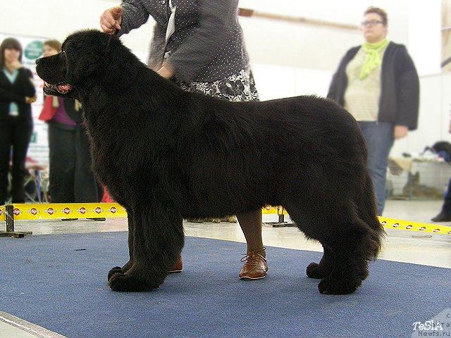 Фотография № 41094