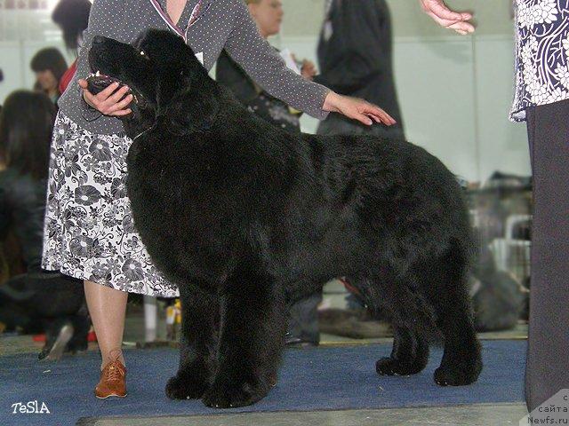 Фотография № 41095