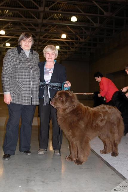 Фотография № 41160