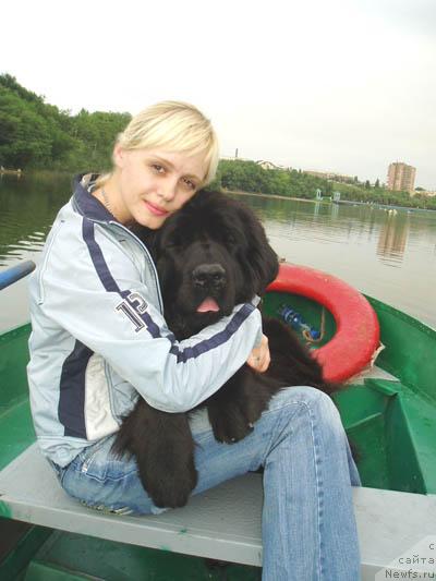 Фото: ньюфаундленд Brenda Kara Deniz (Бренда Кара Дениз), Ol'ga Pankova (Ольга Панкова)