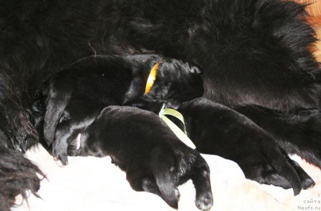 Фотография № 41266