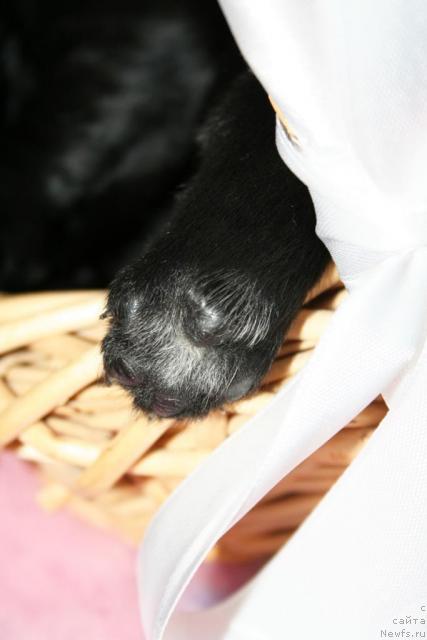 Фотография № 41268