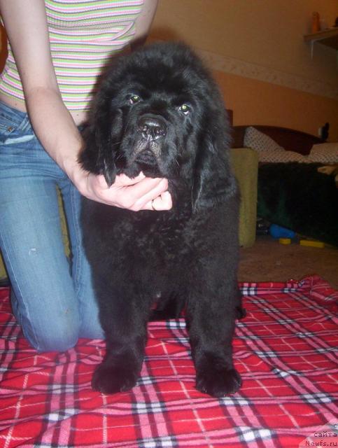 Фото: Уютная Долина Аэлита Маринус