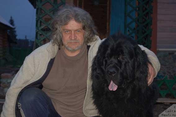 Фото: ньюфаундленд Sent Djons Orfey (Сент Джонс Орфей), Sergey Samarov (Сергей Самаров)