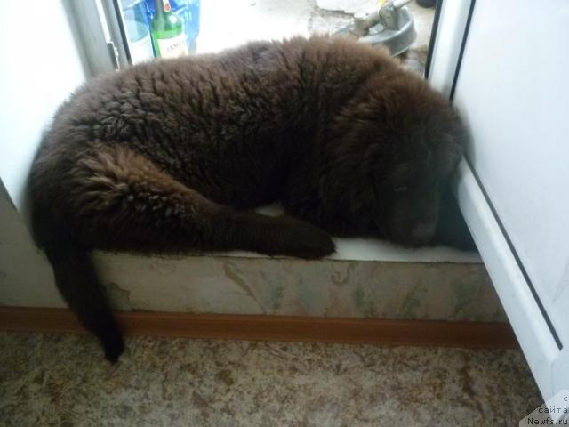 Фотография № 41328