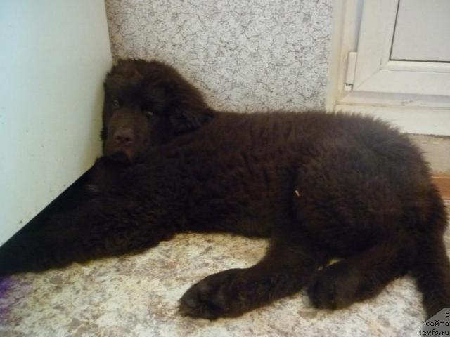 Фотография № 41330