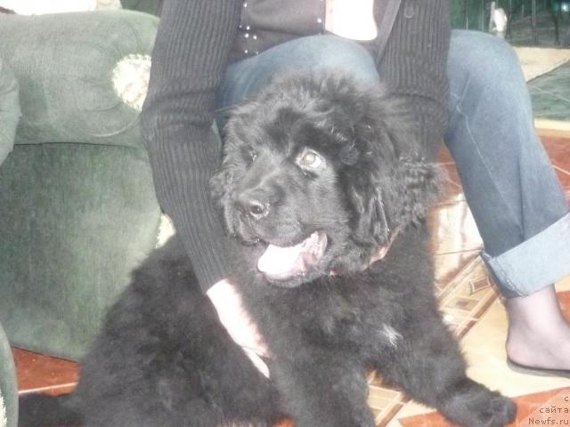 Фотография № 41375