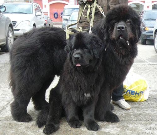 Фото: Потап Шелта и Сент Джонс Круиз