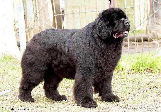 Фотография № 41485